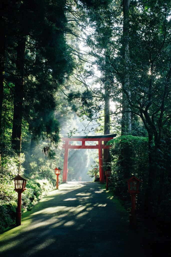 mejor seguro viaje japon